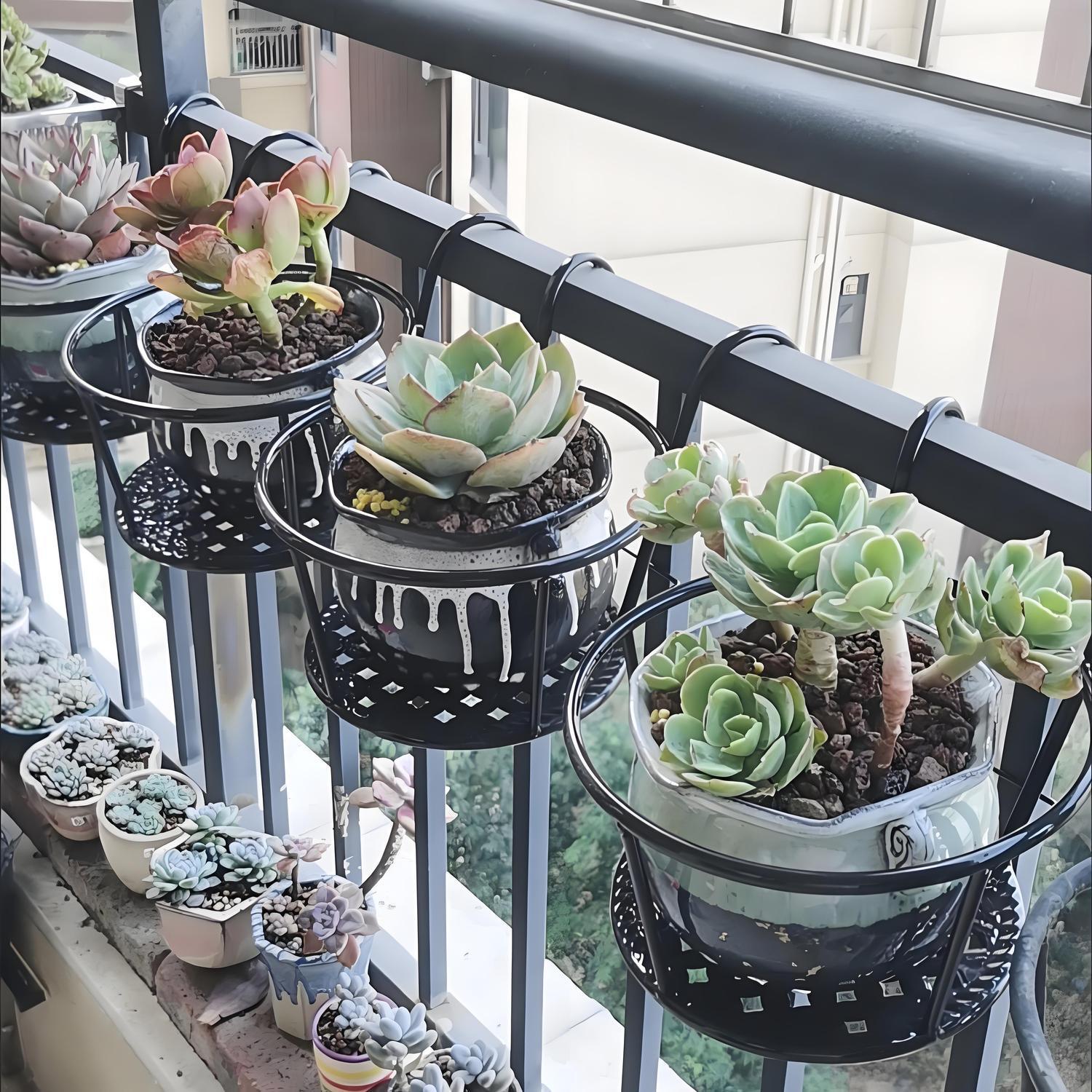 Wrought Iron Balcony Hanging F - Spider Plant Hanging ulasan dan harga