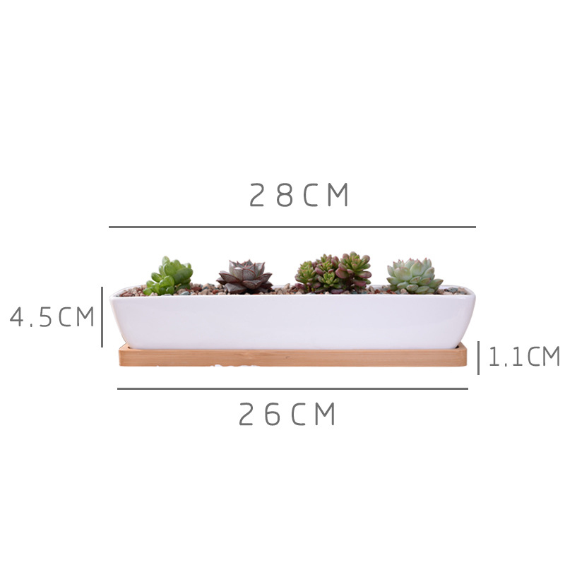 Long Rectangle White Ceramic S - Echeveria Succulent ulasan dan harga