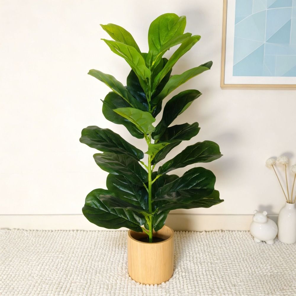 Green Plastic Artificial Ficus - Monstera Adansonii ulasan dan harga