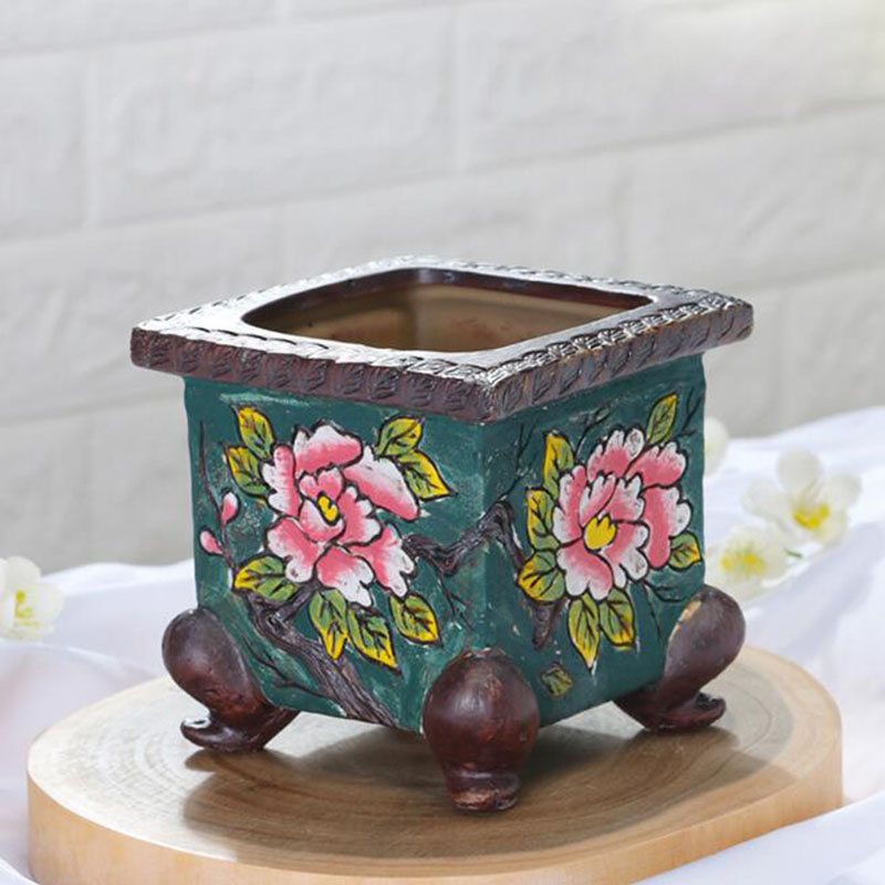 Korean Style Handpainted Flora - Echeveria Succulent ulasan dan harga