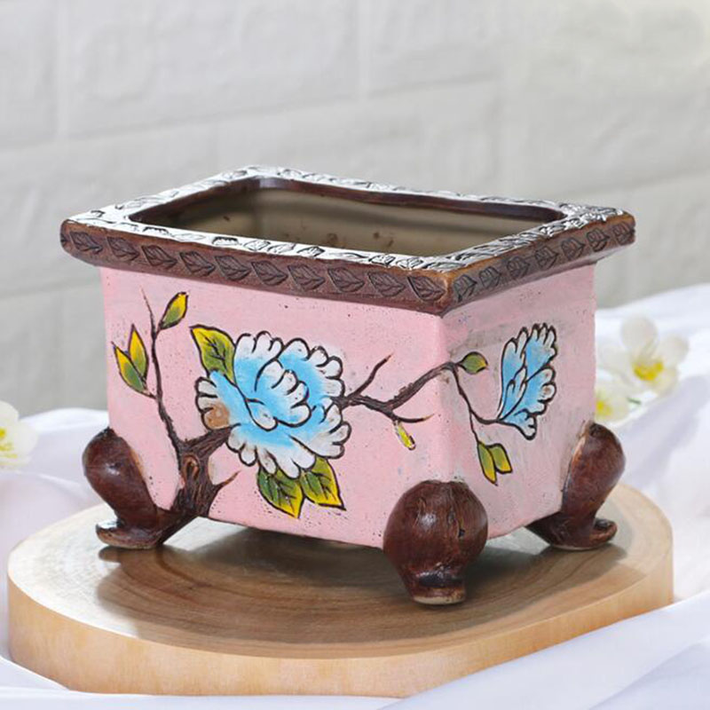 Korean Style Handpainted Flora - Echeveria Succulent ulasan dan harga