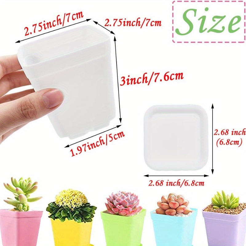 14/20/42 Piece Set of Colorful - Echeveria Succulent ulasan dan harga