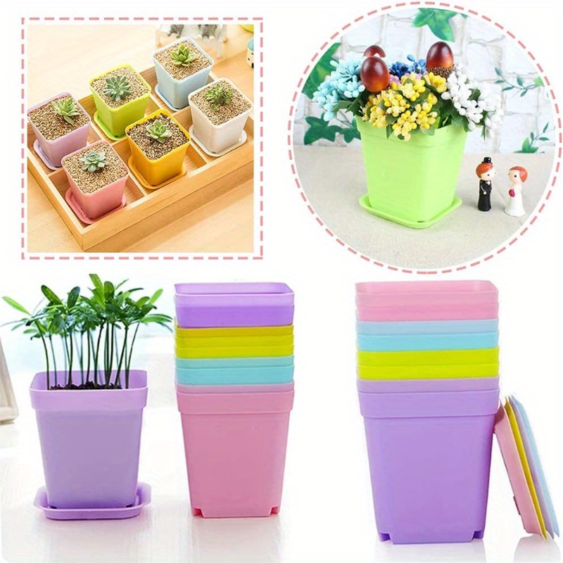 14/20/42 Piece Set of Colorful - Echeveria Succulent ulasan dan harga