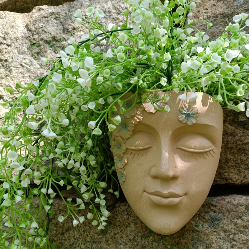 Creative Wall Mounted Facial F - Echeveria Succulent ulasan dan harga