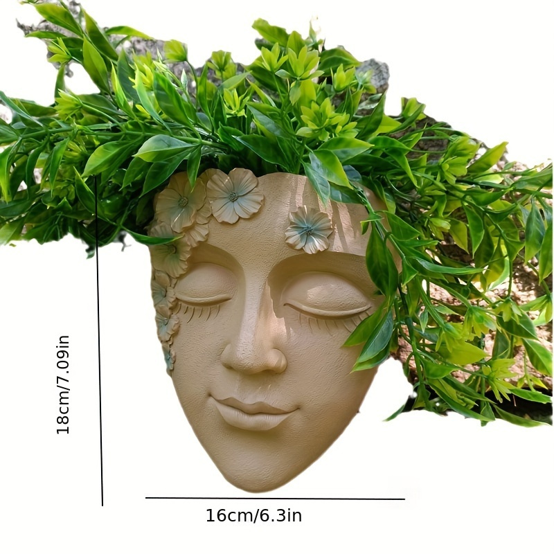 Creative Wall Mounted Facial F - Echeveria Succulent ulasan dan harga