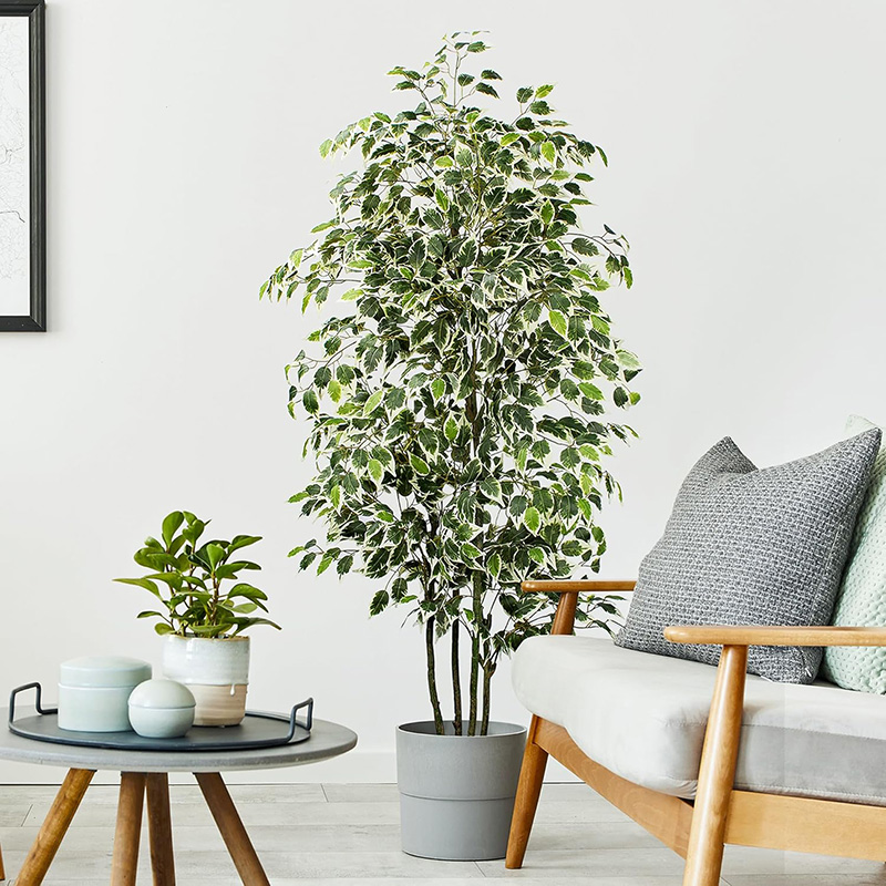 70in Artificial Ficus Tree Fau - Dracaena Marginata ulasan dan harga