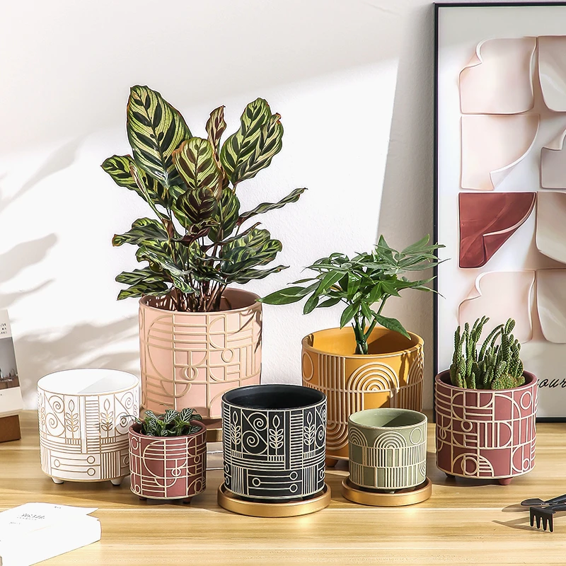 Simple Cylindrical Ceramic Flo - Echeveria Succulent ulasan dan harga