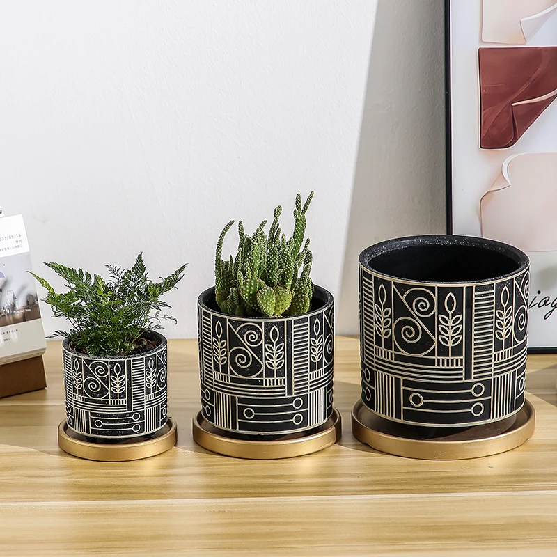 Simple Cylindrical Ceramic Flo - Echeveria Succulent ulasan dan harga