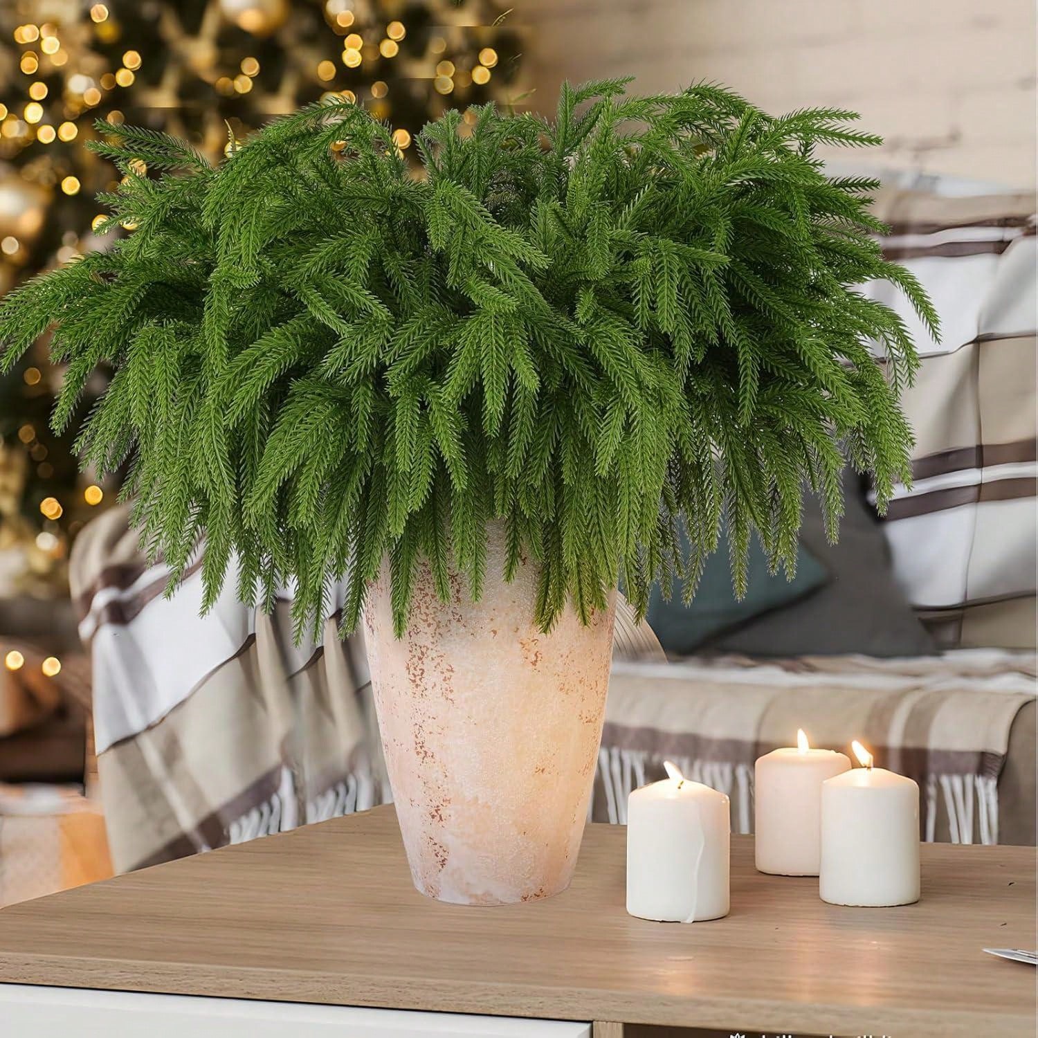 Christmas Norfolk Branches Rea - Dracaena Marginata ulasan dan harga