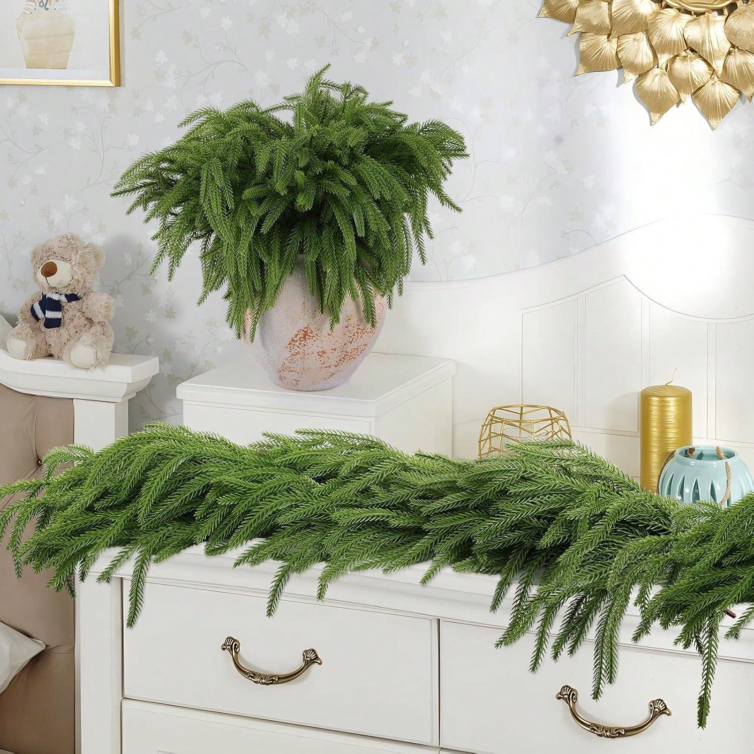 Christmas Norfolk Branches Rea - Dracaena Marginata ulasan dan harga