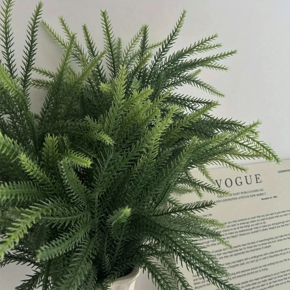 Christmas Norfolk Branches Rea - Dracaena Marginata ulasan dan harga