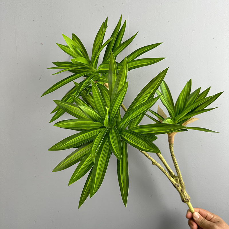 Simulated Green Plants 3 Heads - Dracaena Marginata ulasan dan harga