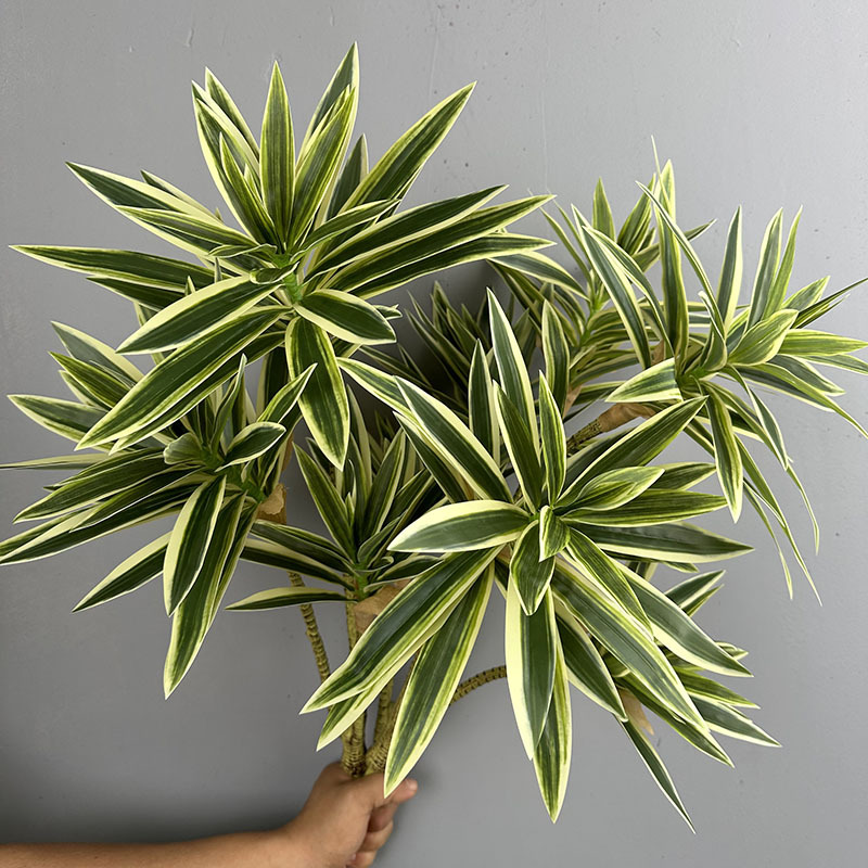 Simulated Green Plants 3 Heads - Dracaena Marginata ulasan dan harga
