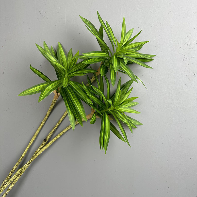 Simulated Green Plants 3 Heads - Dracaena Marginata ulasan dan harga