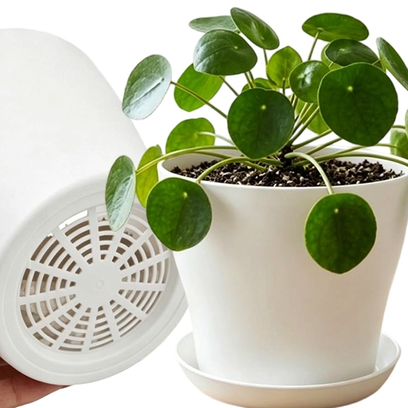 Plant Pot Set with Drainage Ho - Echeveria Succulent ulasan dan harga