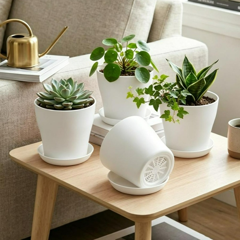 Plant Pot Set with Drainage Ho - Echeveria Succulent ulasan dan harga